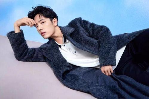 娱乐圈吃瓜明星代号肖战