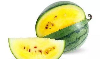 南方电网吃瓜娱乐酱