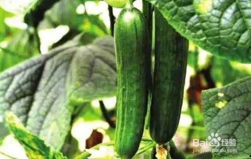 南方电网吃瓜娱乐酱